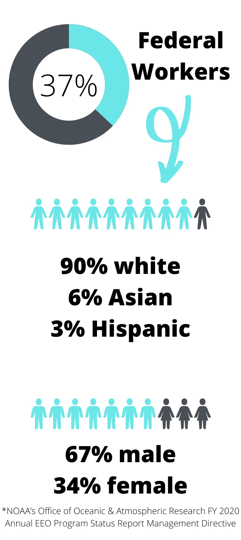 pie-chart of employees