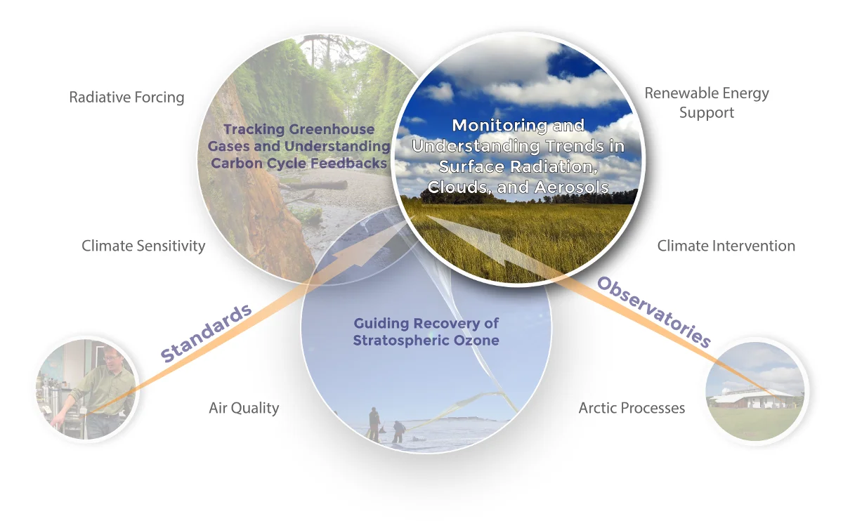 research themes diagram