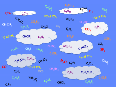 Gases Measured