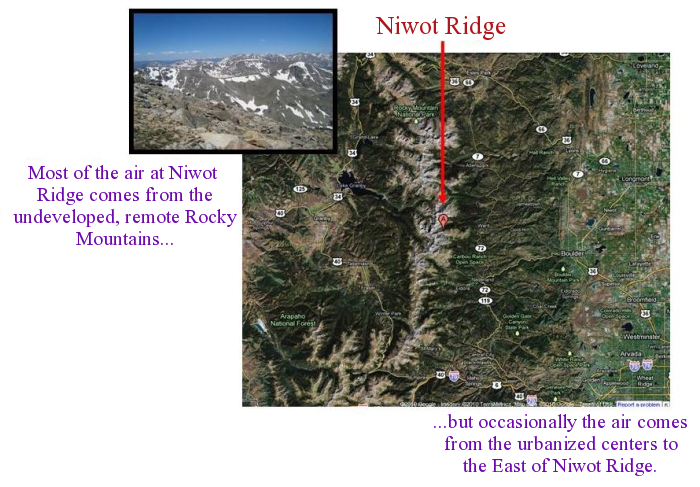 Niwot Ridget