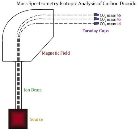 Mass Spec. by Weight